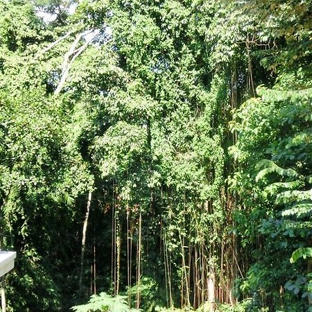 Latugu Homestay Ubud 외부 사진